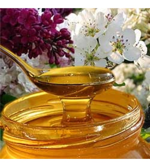 Купить майский мёд в Москве на сайте «мёдный.рф»