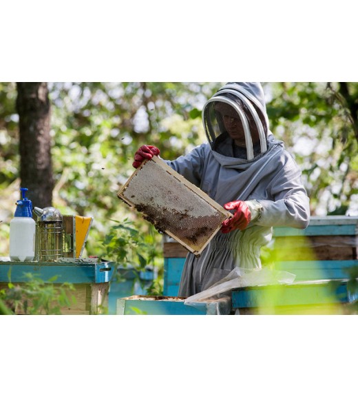 Купить натуральный мёд в Москве на сайте «мёдный.рф»