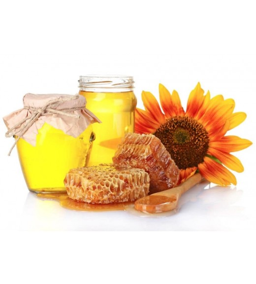 Польза подсолнечникового мёда