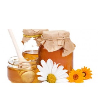 Лечение ларингита при помощи мёда