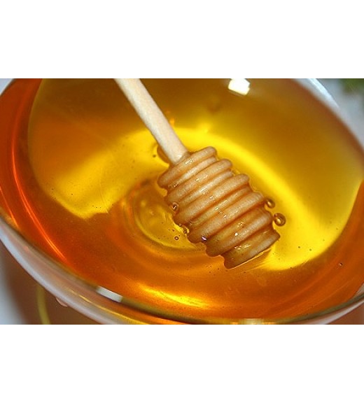 Полезные свойства северного мёда